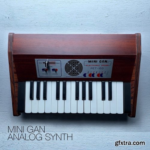David Hilowitz MINI GAN Analog Synth [Patreon Exclusive] [Decent Sampler]