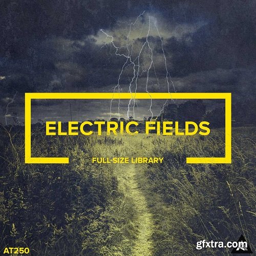 Audiotent Electric Fields