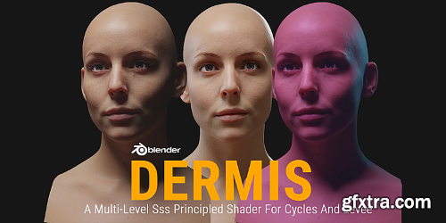 Dermis: A Multi-Level Sss Principled Shader For Cycles (v1.1)