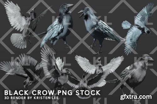 Black Crows PNG Overlays