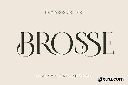 BROSSE Classy Ligature Serif 6ELFFRU