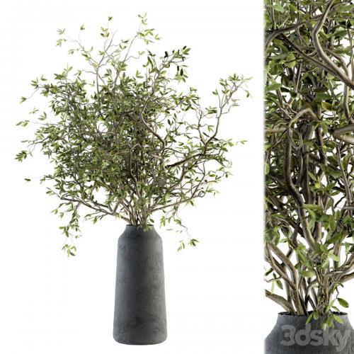 Bouquet - Green Branch in vase 40