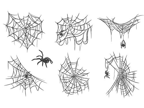Spider Web Illustrations