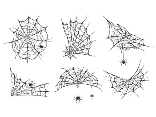 Spider Webs Webbed Corner Illustrations