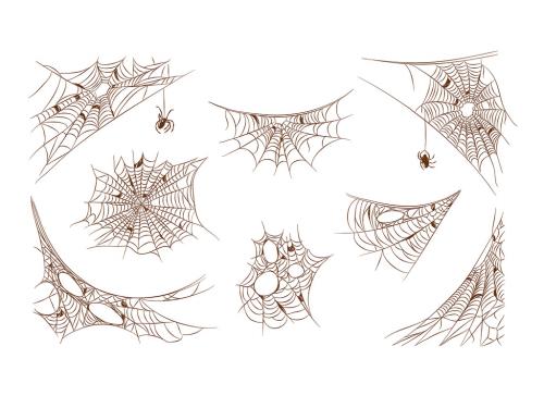 Spooky Spider Web Illustrations