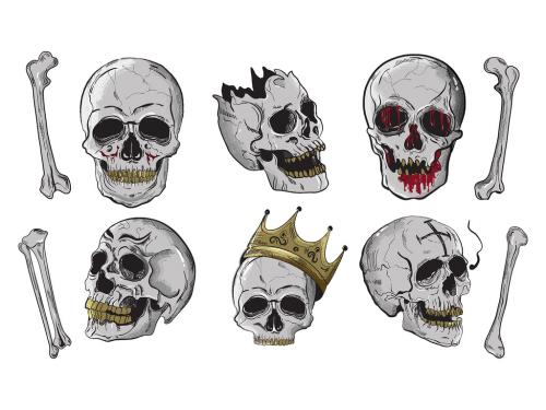 Skull Skeleton Illustrations