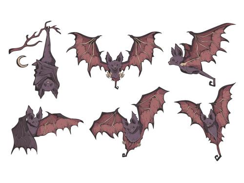 Scary Vampire Bat Illustrations