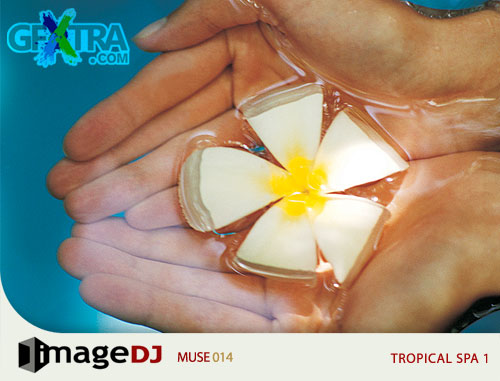 ImageDJ Muse MU014 Tropical Spa 1
