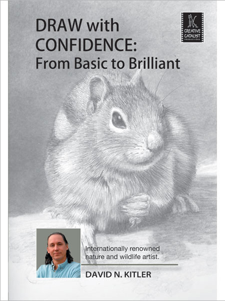 Draw with Confidence: From Basic to Brilliant