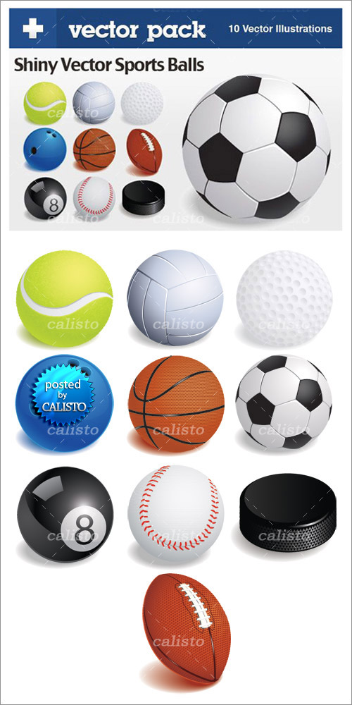 Sports Balls Vector