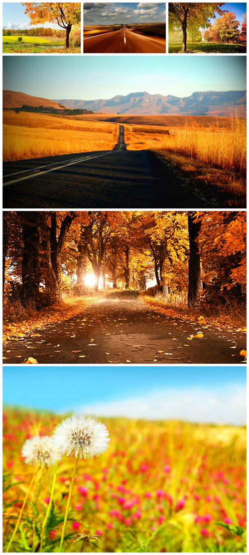 Autumn - Fall, landscape, road, forest, field