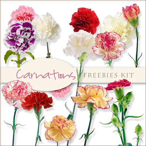 Scrap-kit - Carnations