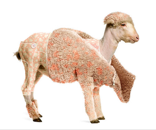 PSDTuts+ Create a Lamb’s Coat in Photoshop
