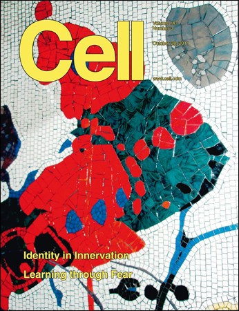Cell - 28 October 2011