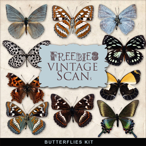 Scrap-kit - Butterflies Set #2