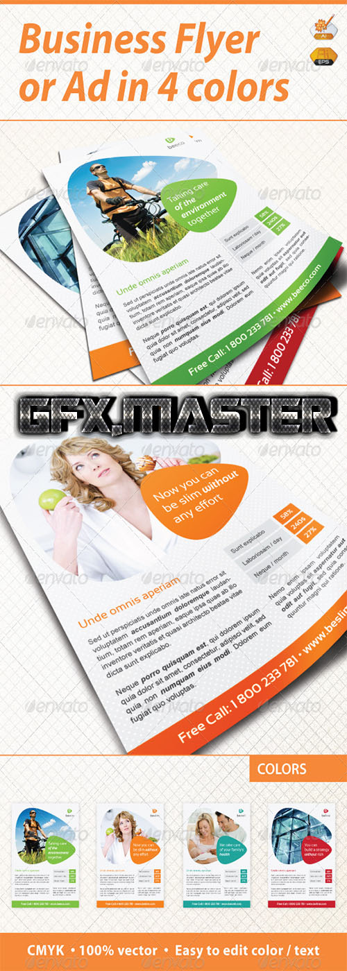GraphicRiver - Business Flyer / Ad
