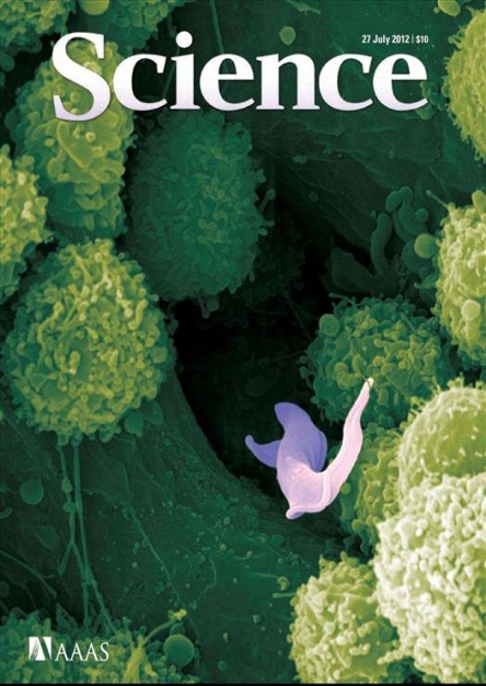 Science -27July 2012