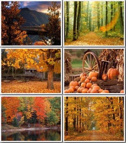 88 Autumn Wallpapers