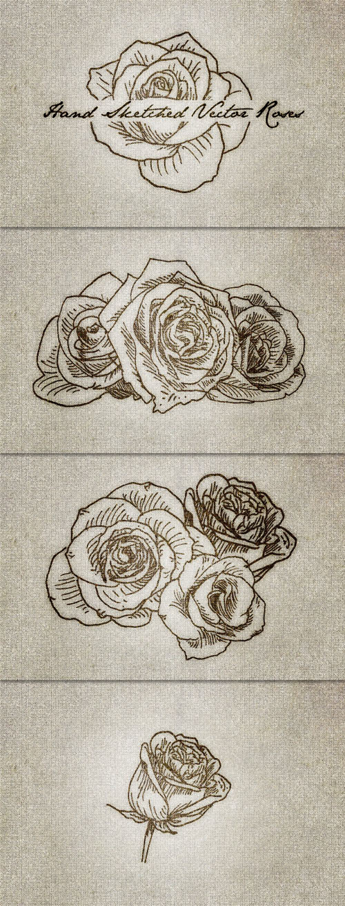 WeGraphics - 10 Hand Sketched Vector Roses