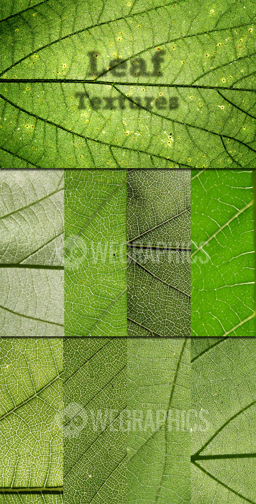 WeGraphics - Leaf Textures Vol. 1