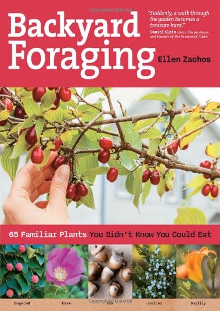 Backyard Foraging: 65 Familiar Plants You Didn\'t Know You Could Eat