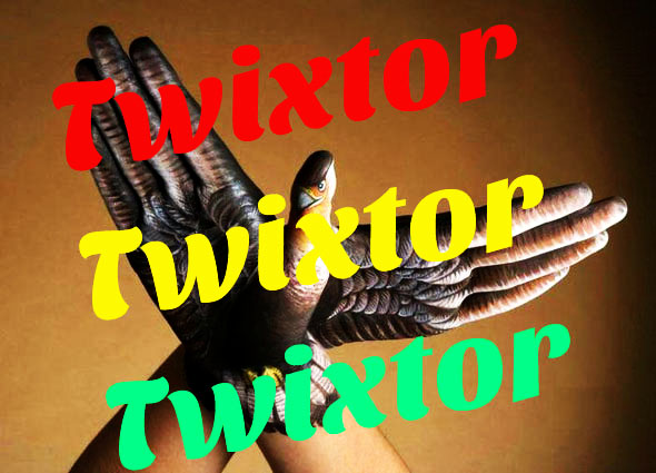 REVisionFX Twixtor Pro 6.0.2 for After Effects