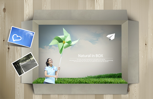 PSD Source - Natural In Box