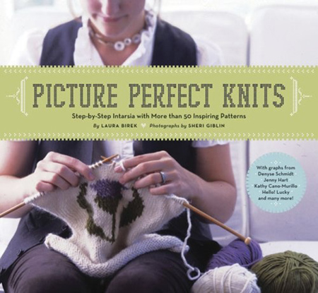 Picture Perfect Knits (EPUB)