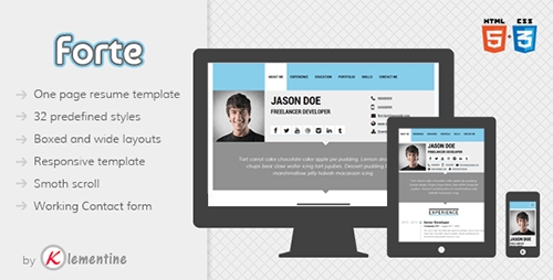 ThemeForest - Forte - One Page Template for Resumes - RIP