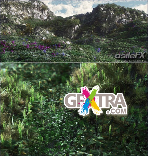 AsileFX Ground Cover, Jungle Rainforest, Tree Pack - Vuegen