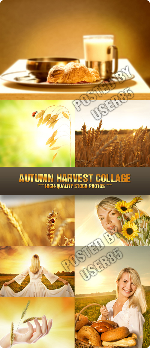 Stock Photo - Autumn Harvest Collage