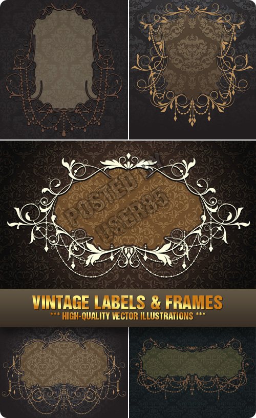 Stock Vector - Vintage Labels & Frames