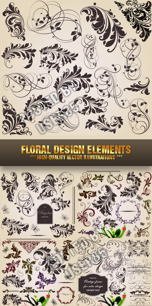 Stock Vector - Floral Design Elements