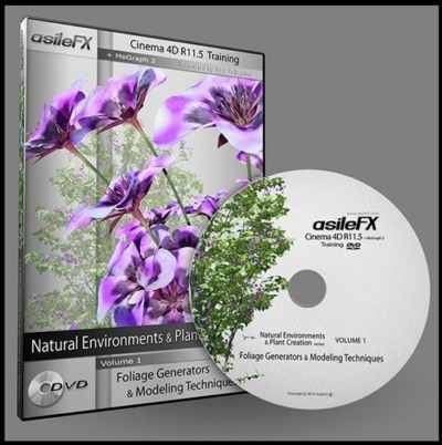 AsileFX Cinema 4D Training: MoGraph 2 Natural Environments & Plant Creation Bundle