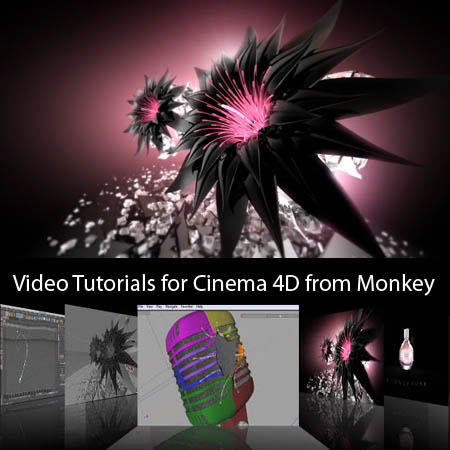 Cinema 4D Video Tutorials - From Monkey