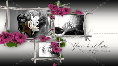 After Effects Project - Floral Frames 106358