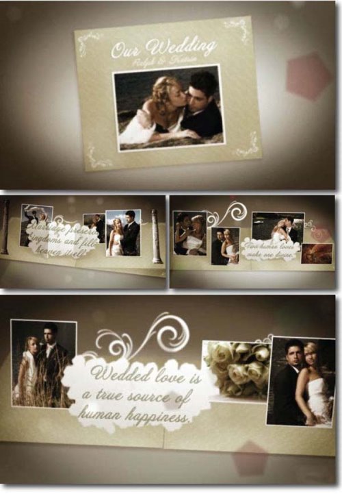 After Effects Project - Wedding Album