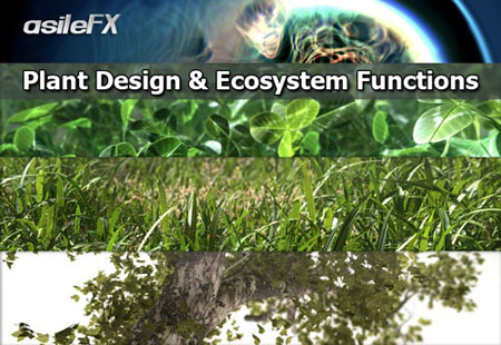 Asilefx - Plant Design & EcoSystem Functions in Vue 9.5