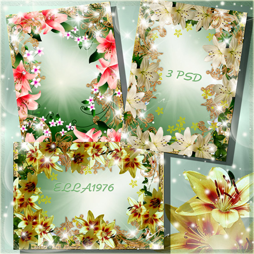 Flower Frame-creamy lily flowers silent