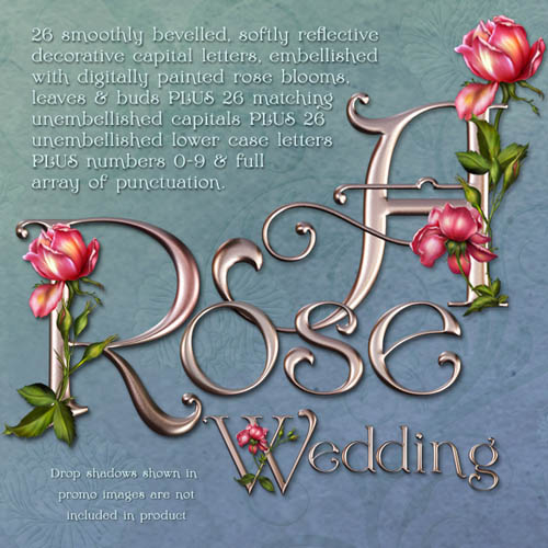 JaguarWoman\'s Rose Wedding Decorative Alphabet